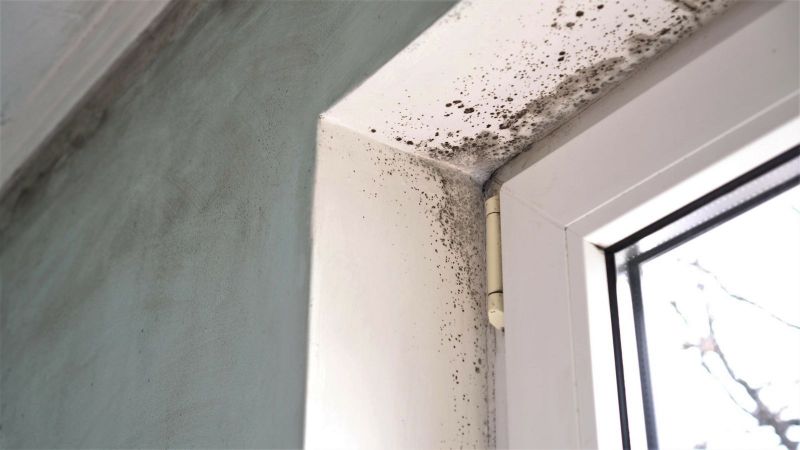 Say Goodbye to Mold: Effective Mold Remediation Tips for Homeowners