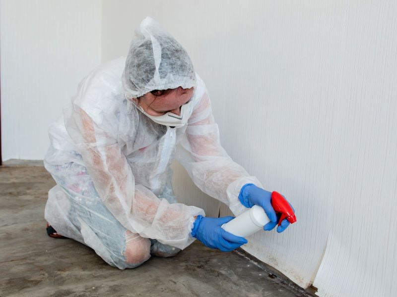 Encapsulation: The Key to a Healthy Crawl Space