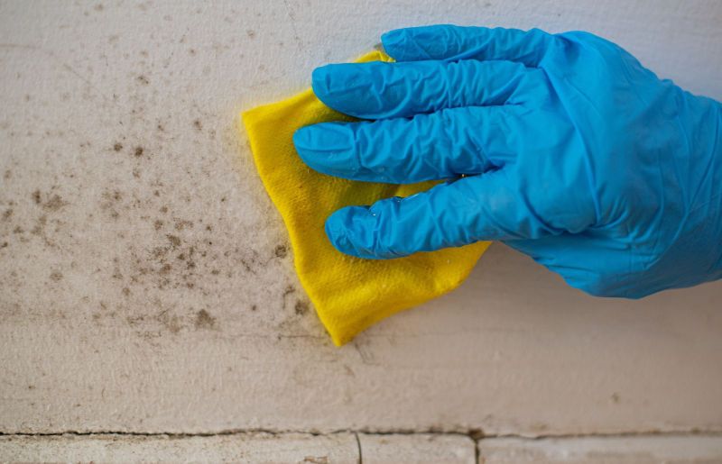 Mold Remediation Excellence: Safeguarding Your Indoor Air Quality
